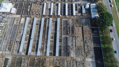 统治剧照的剧照