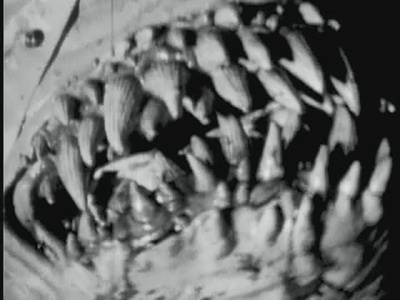 疯狂铁匠剧照的剧照