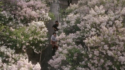 情人结剧照的剧照