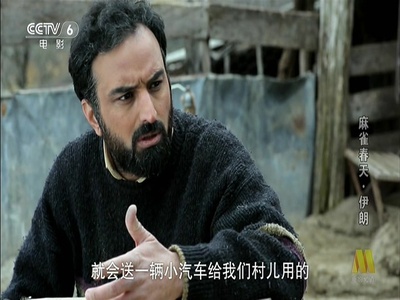 麻雀春天剧照的剧照