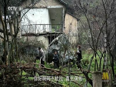 麻雀春天剧照的剧照