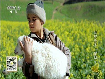 麻雀春天剧照的剧照