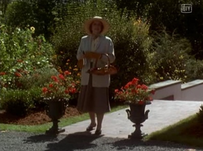 同住一屋剧照的剧照