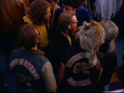 给我庇护剧照的剧照