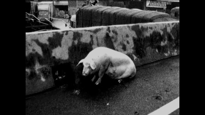 现实是过去的未来剧照的剧照