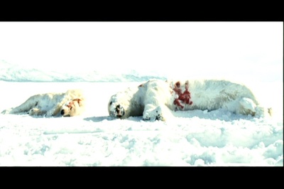 生死新纪元剧照的剧照