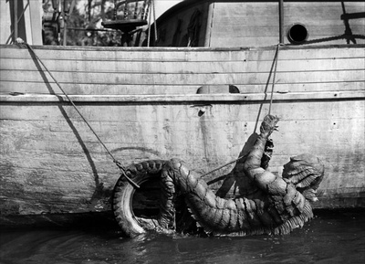 黑湖妖潭剧照的剧照