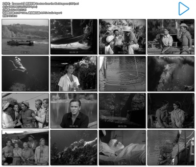 黑湖妖潭剧照的剧照