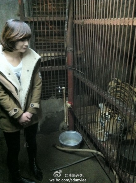 热血街头剧照的剧照