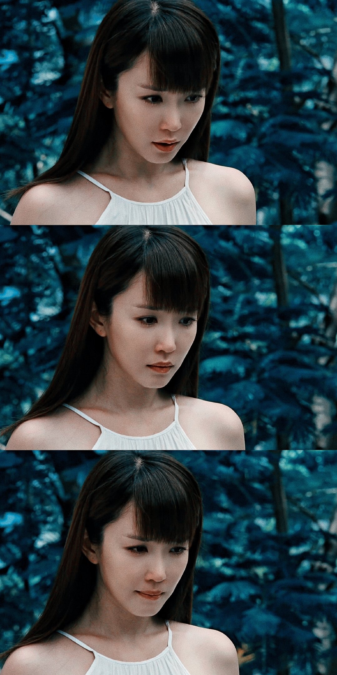 蓝色矢车菊剧照的剧照