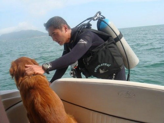 蓝色矢车菊剧照的剧照