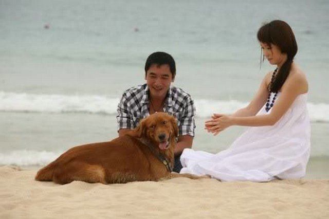 蓝色矢车菊剧照的剧照