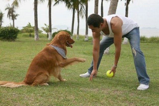 蓝色矢车菊剧照的剧照