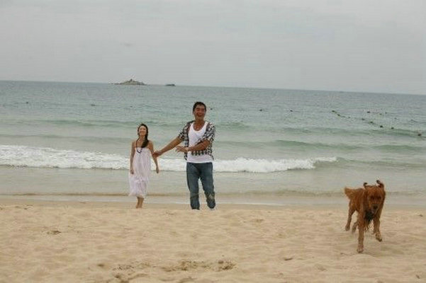 蓝色矢车菊剧照的剧照