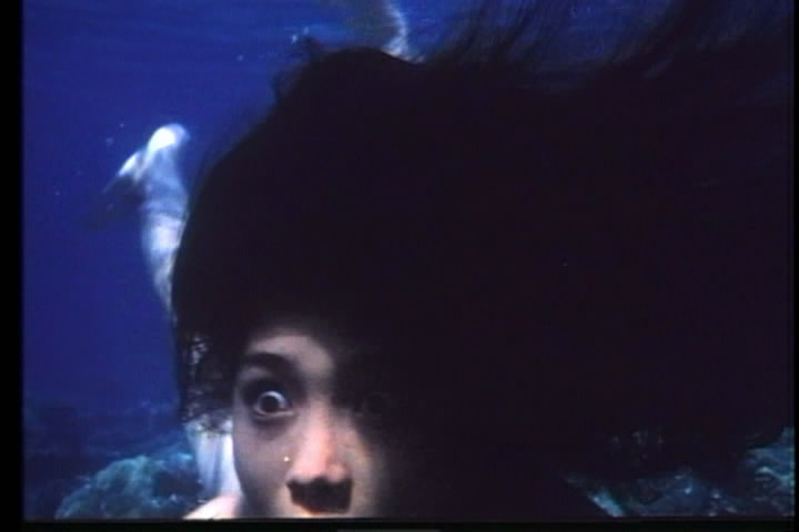 逃出珊瑚海剧照的剧照