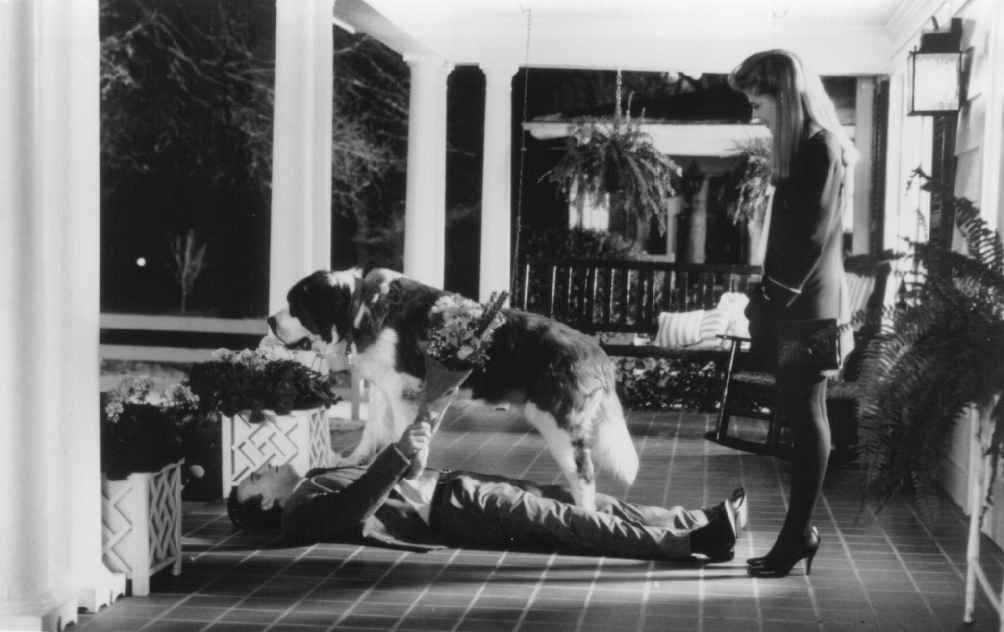 命运先生剧照的剧照