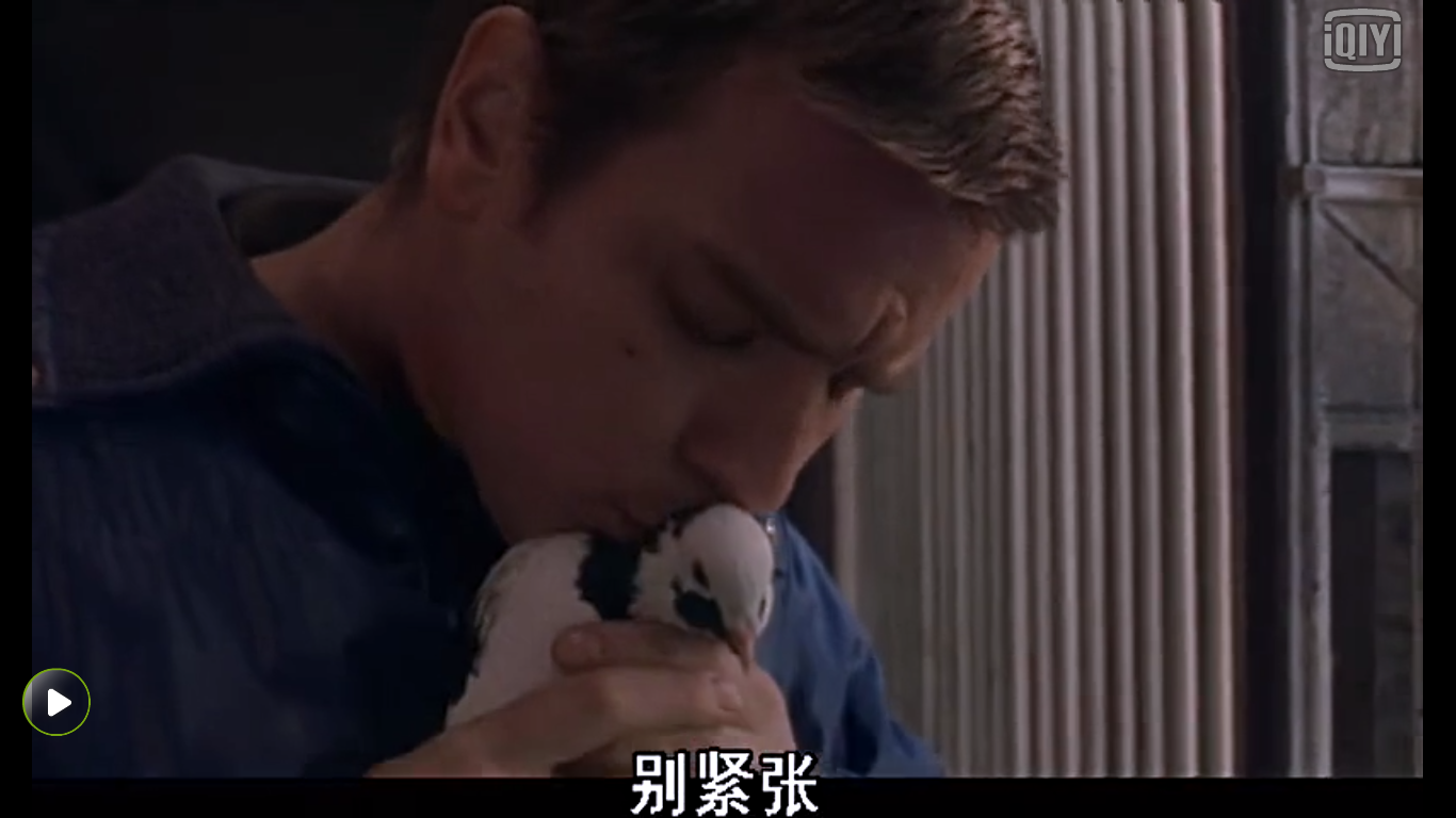 小嗓门剧照的剧照