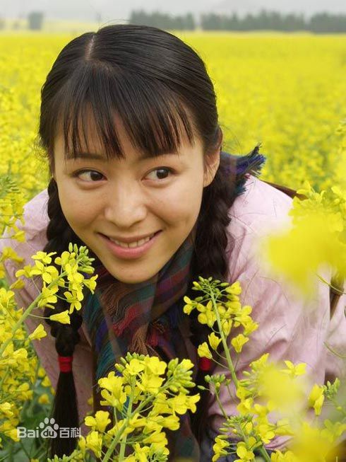 芳香之旅剧照的剧照