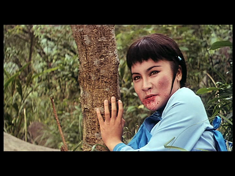 吕四娘闯少林剧照的剧照