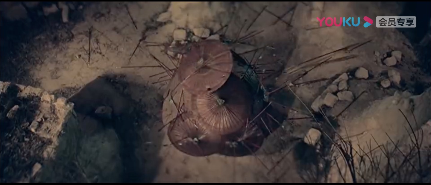 烂头何剧照的剧照