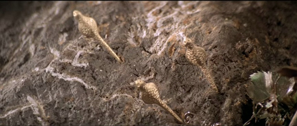 情侠追风剑剧照的剧照