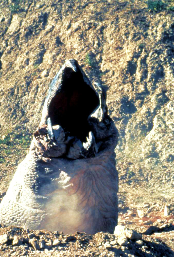 异形魔怪2剧照的剧照