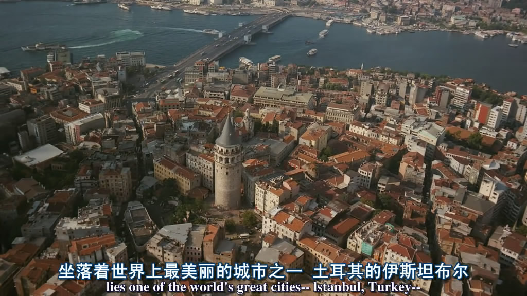 国家地理自然力量剧照的剧照