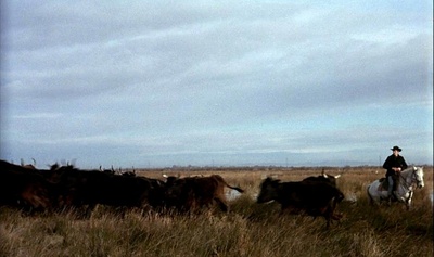 白日美人剧照的剧照