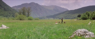 国王与怪兽剧照的剧照