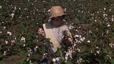 我心深处剧照的剧照