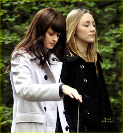 紫罗兰与雏菊剧照的剧照