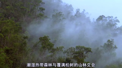 古巴：意外的伊甸园剧照的剧照