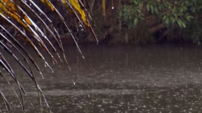 古巴：意外的伊甸园剧照的剧照