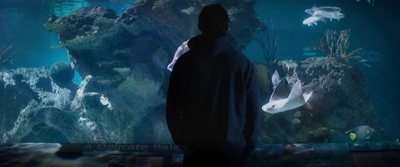 你是唯一剧照的剧照