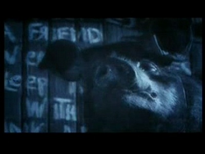 动物农庄剧照的剧照