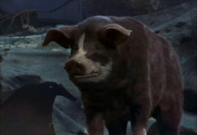 动物农庄剧照的剧照