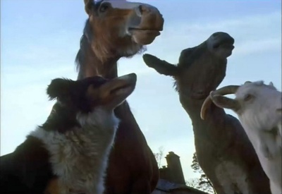 动物农庄剧照的剧照