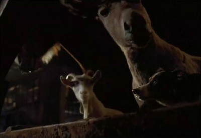 动物农庄剧照的剧照