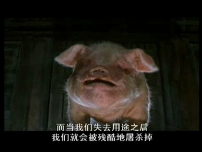 动物农庄剧照的剧照