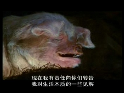 动物农庄剧照的剧照