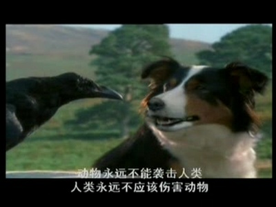 动物农庄剧照的剧照