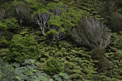 离岛居民剧照的剧照