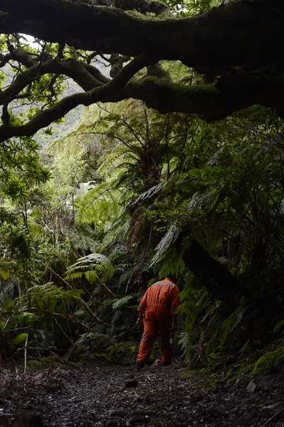离岛居民剧照的剧照