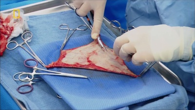 禁忌异域之性别转换剧照的剧照