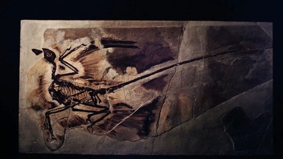 恐龙再现剧照的剧照