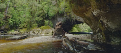 南极的恐龙剧照的剧照