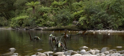 南极的恐龙剧照的剧照