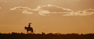 甜蜜的复仇剧照的剧照