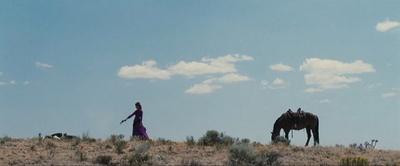 甜蜜的复仇剧照的剧照