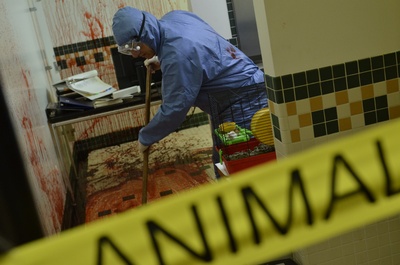 疯狂的米罗剧照的剧照